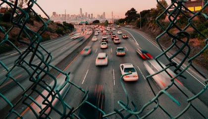 长毛拖把狗，长毛像拖把一样的狗