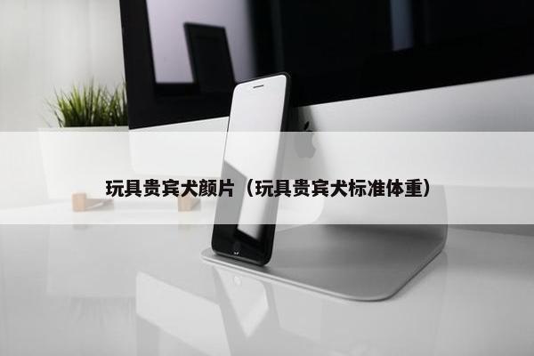 玩具贵宾犬颜片（玩具贵宾犬标准体重）