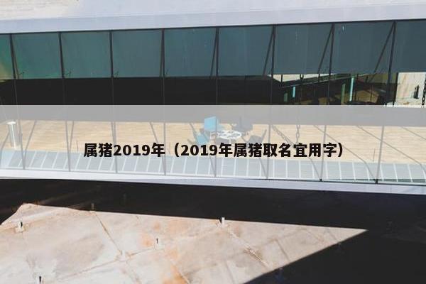 属猪2019年（2019年属猪取名宜用字）