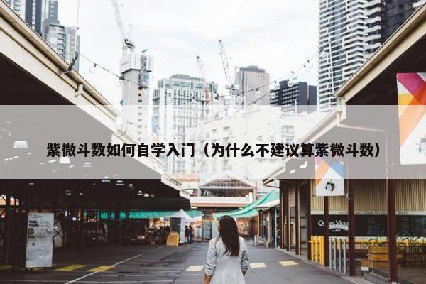 紫微斗数如何自学入门（为什么不建议算紫微斗数）
