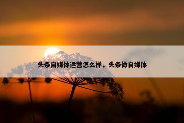头条自媒体运营怎么样，头条做自媒体