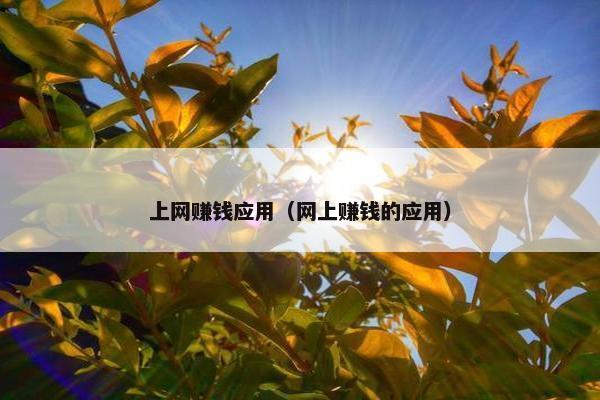 上网赚钱应用（网上赚钱的应用）