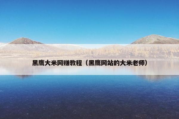 黑鹰大米网赚教程（黑鹰网站的大米老师）