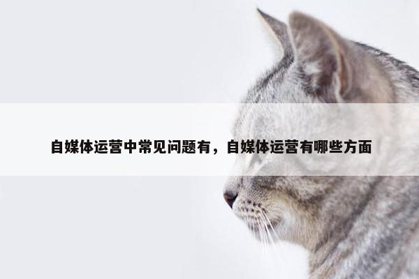 自媒体运营中常见问题有，自媒体运营有哪些方面