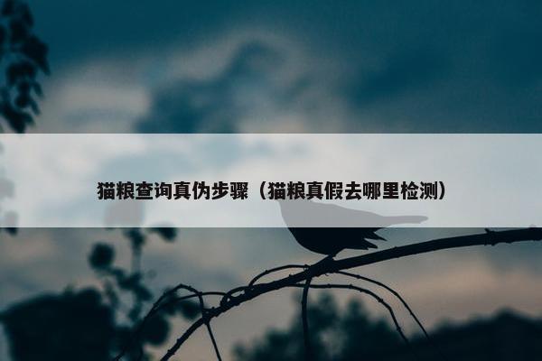 猫粮查询真伪步骤（猫粮真假去哪里检测）
