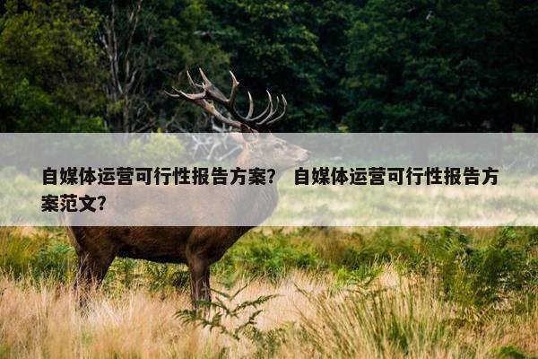 自媒体运营可行性报告方案？ 自媒体运营可行性报告方案范文？
