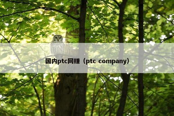 国内ptc网赚（ptc company）