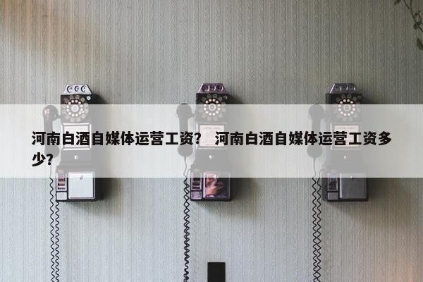 河南白酒自媒体运营工资？ 河南白酒自媒体运营工资多少？