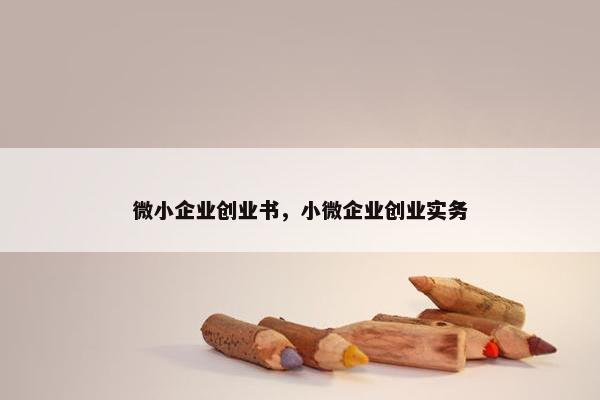 微小企业创业书，小微企业创业实务