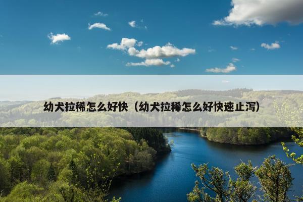 幼犬拉稀怎么好快（幼犬拉稀怎么好快速止泻）