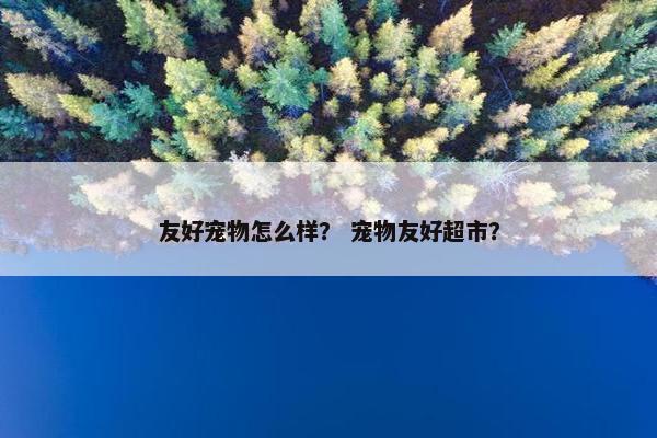 友好宠物怎么样？ 宠物友好超市？