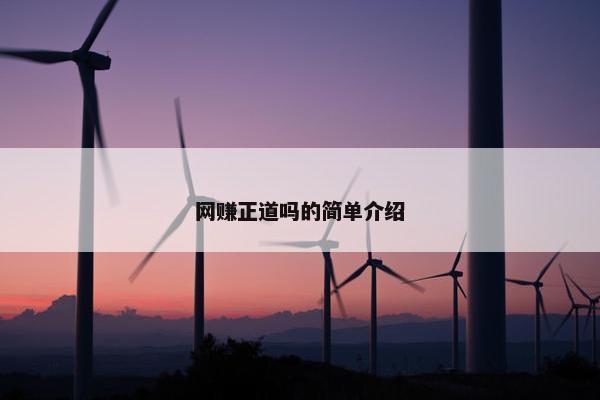 网赚正道吗的简单介绍