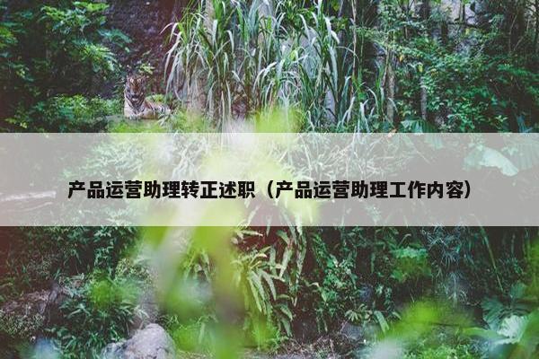 产品运营助理转正述职（产品运营助理工作内容）