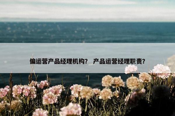 偏运营产品经理机构？ 产品运营经理职责？