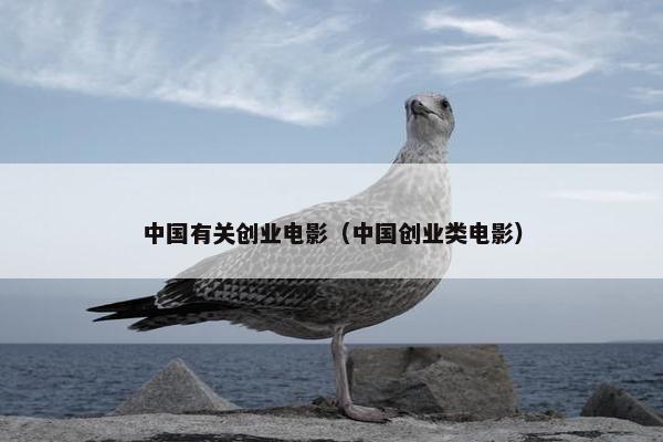 中国有关创业电影（中国创业类电影）