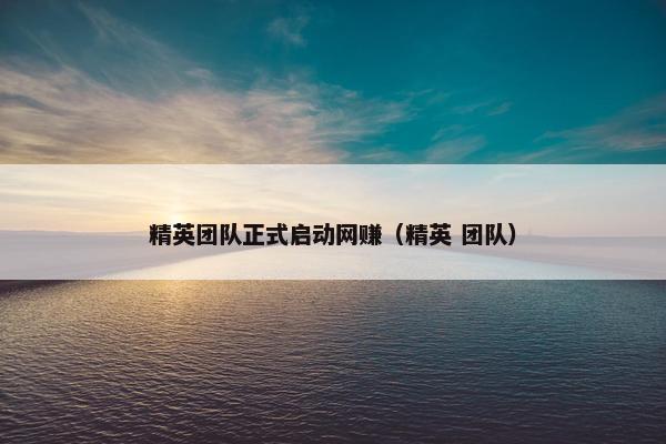 精英团队正式启动网赚（精英 团队）