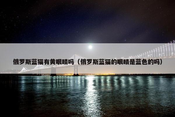 俄罗斯蓝猫有黄眼睛吗（俄罗斯蓝猫的眼睛是蓝色的吗）