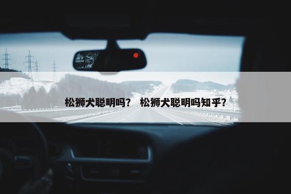 松狮犬聪明吗？ 松狮犬聪明吗知乎？
