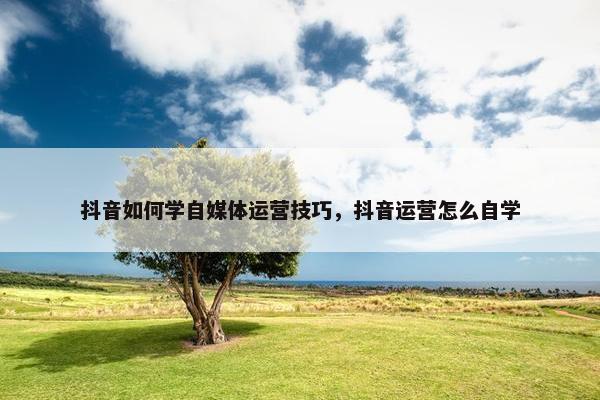 抖音如何学自媒体运营技巧，抖音运营怎么自学