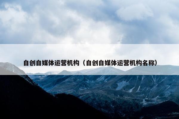 自创自媒体运营机构（自创自媒体运营机构名称）