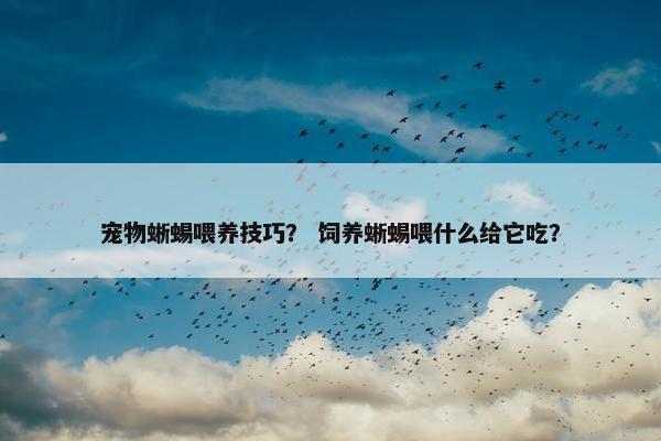 宠物蜥蜴喂养技巧？ 饲养蜥蜴喂什么给它吃？