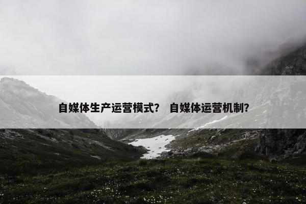 自媒体生产运营模式？ 自媒体运营机制？