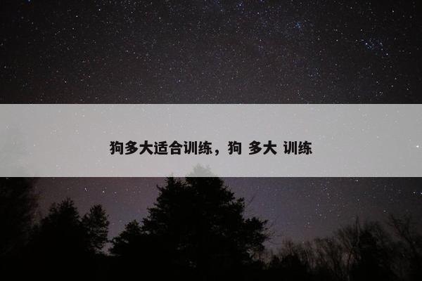 狗多大适合训练，狗 多大 训练