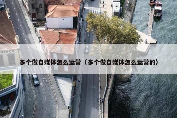 多个做自媒体怎么运营（多个做自媒体怎么运营的）