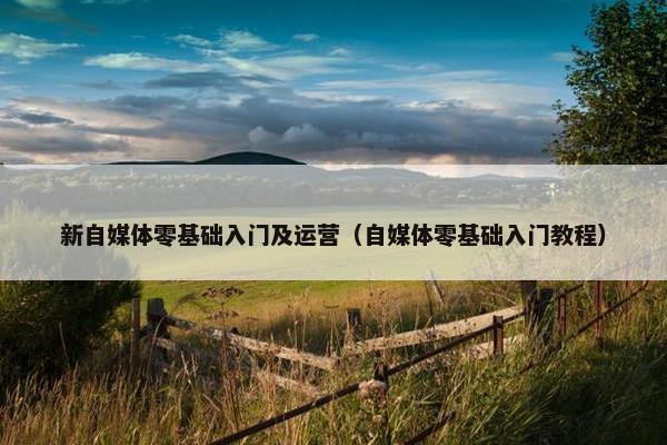 新自媒体零基础入门及运营（自媒体零基础入门教程）