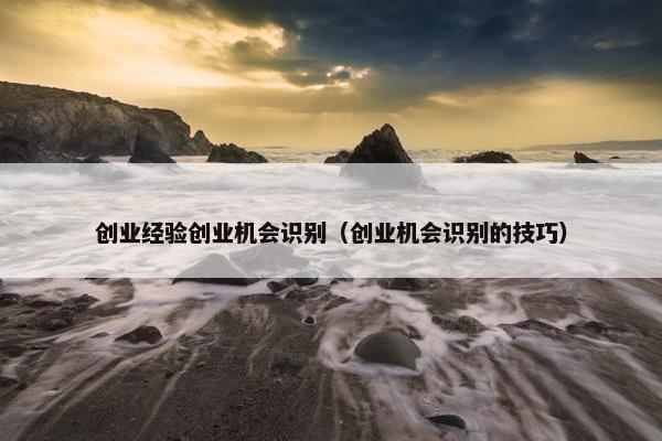创业经验创业机会识别（创业机会识别的技巧）