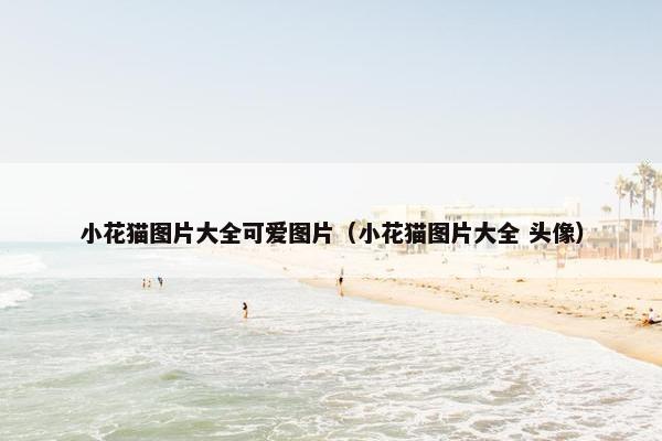 小花猫图片大全可爱图片（小花猫图片大全 头像）