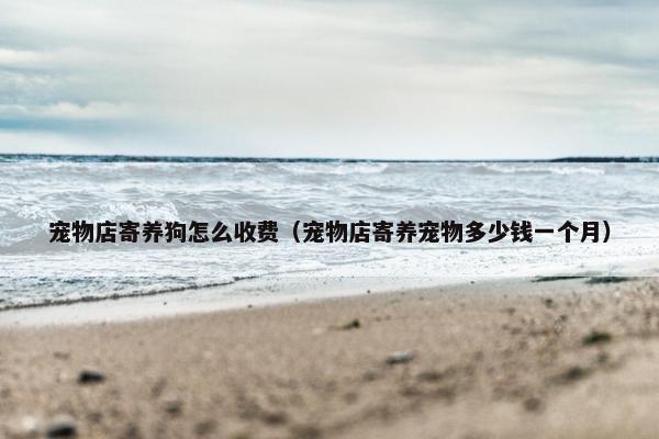 宠物店寄养狗怎么收费（宠物店寄养宠物多少钱一个月）