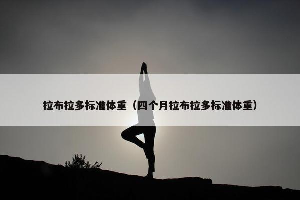 拉布拉多标准体重（四个月拉布拉多标准体重）