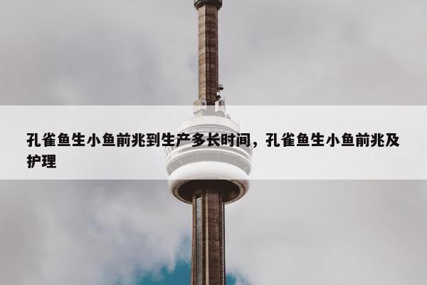 孔雀鱼生小鱼前兆到生产多长时间，孔雀鱼生小鱼前兆及护理