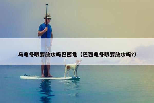乌龟冬眠要放水吗巴西龟（巴西龟冬眠要放水吗?）