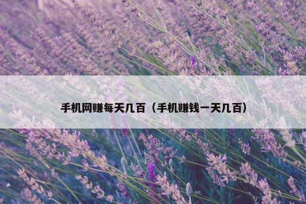 手机网赚每天几百（手机赚钱一天几百）