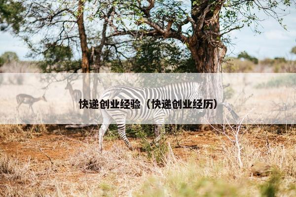 快递创业经验（快递创业经历）