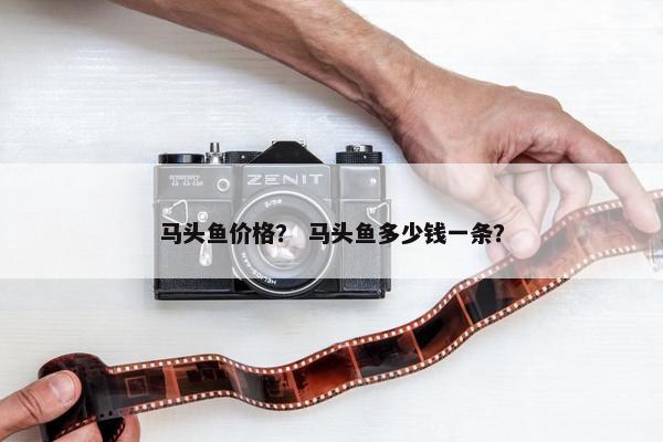 马头鱼价格？ 马头鱼多少钱一条？
