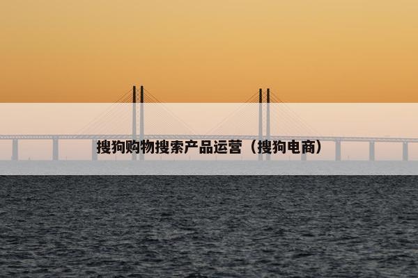 搜狗购物搜索产品运营（搜狗电商）