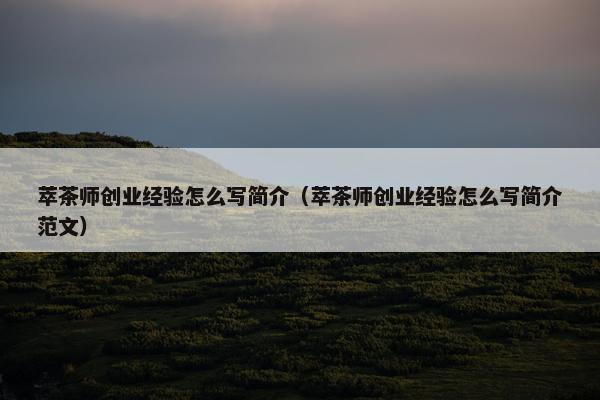 萃茶师创业经验怎么写简介（萃茶师创业经验怎么写简介范文）