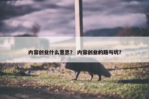 内容创业什么意思？ 内容创业的路与坑？