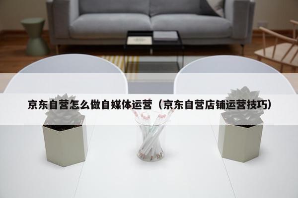 京东自营怎么做自媒体运营（京东自营店铺运营技巧）