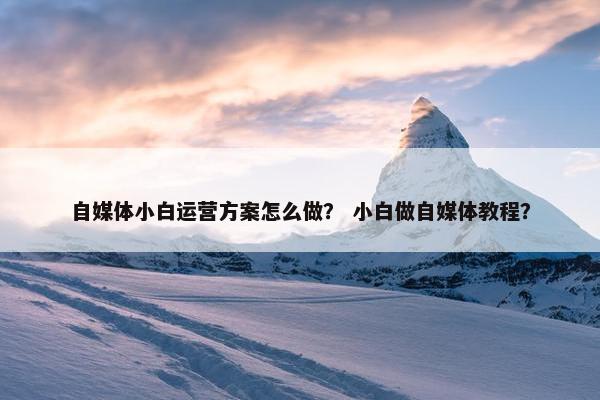 自媒体小白运营方案怎么做？ 小白做自媒体教程？