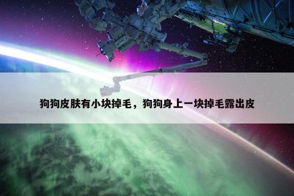 狗狗皮肤有小块掉毛，狗狗身上一块掉毛露出皮