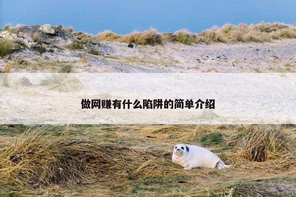 做网赚有什么陷阱的简单介绍