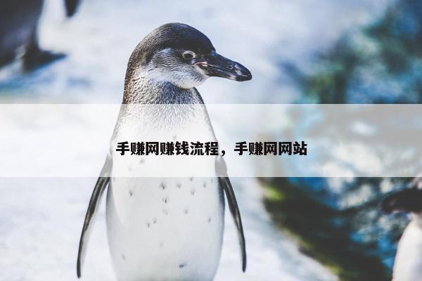 手赚网赚钱流程，手赚网网站