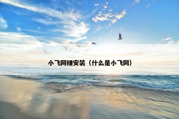 小飞网赚安装（什么是小飞网）