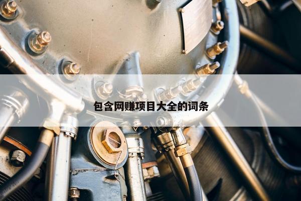 包含网赚项目大全的词条