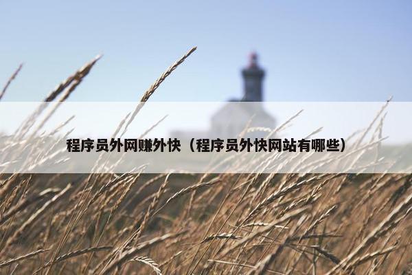 程序员外网赚外快（程序员外快网站有哪些）