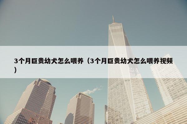 3个月巨贵幼犬怎么喂养（3个月巨贵幼犬怎么喂养视频）